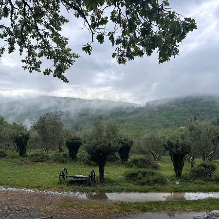 Podere Sagna Castellina in Chianti Exteriér fotografie