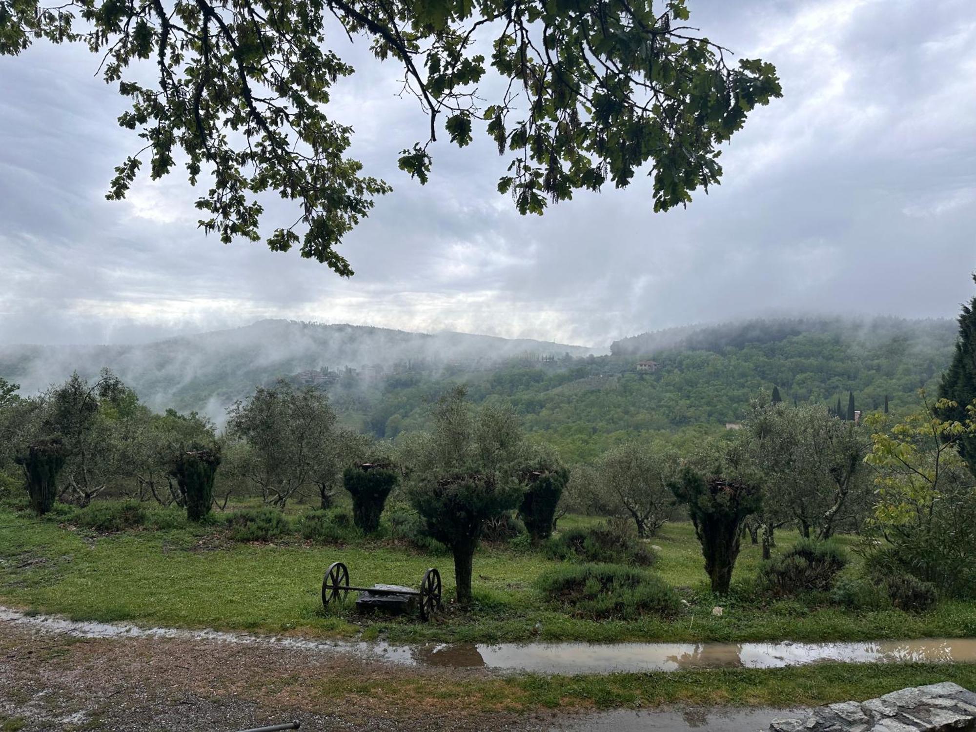 Podere Sagna Castellina in Chianti Exteriér fotografie
