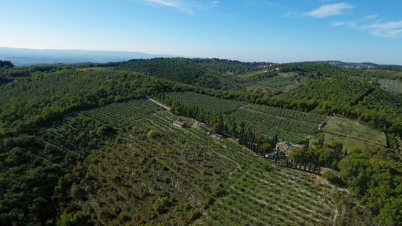 Podere Sagna Castellina in Chianti Exteriér fotografie